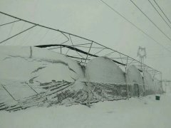 2018一場大雪，考驗(yàn)了多少個溫室大棚的質(zhì)量！